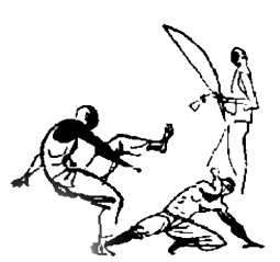 capoeira5 .